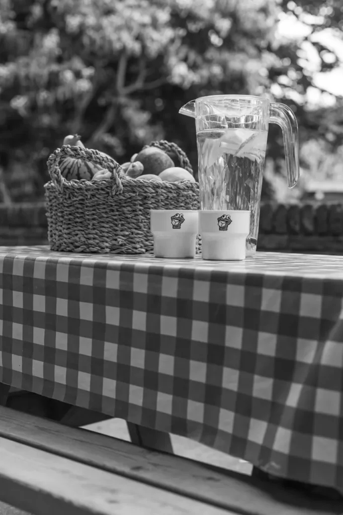 Mand met vers fruit en kan water met citroen op buitentafel bij The Kids Company kinderopvang in Veldhoven – focus op gezonde voeding.